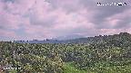 foresta1-20250731153015.jpg