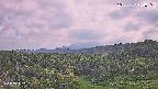 foresta1-20250731154015.jpg