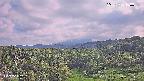 foresta1-20250731160015.jpg