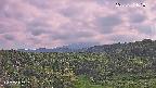 foresta1-20250731161015.jpg