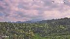 foresta1-20250731162014.jpg