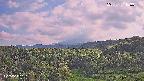 foresta1-20250731163015.jpg