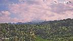 foresta1-20250731164016.jpg