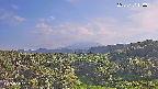 foresta1-20250731170014.jpg