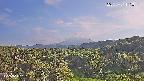 foresta1-20250731171015.jpg