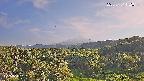 foresta1-20250731172015.jpg