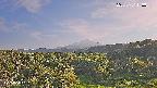 foresta1-20250731173015.jpg