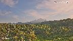 foresta1-20250731174015.jpg