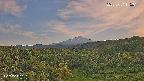 foresta1-20250731175015.jpg