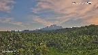 foresta1-20250731180016.jpg