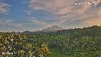 foresta1-20250731181015.jpg