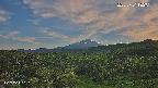 foresta1-20250731182015.jpg