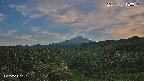 foresta1-20250731183016.jpg