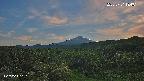 foresta1-20250731184015.jpg