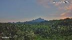 foresta1-20250731185016.jpg
