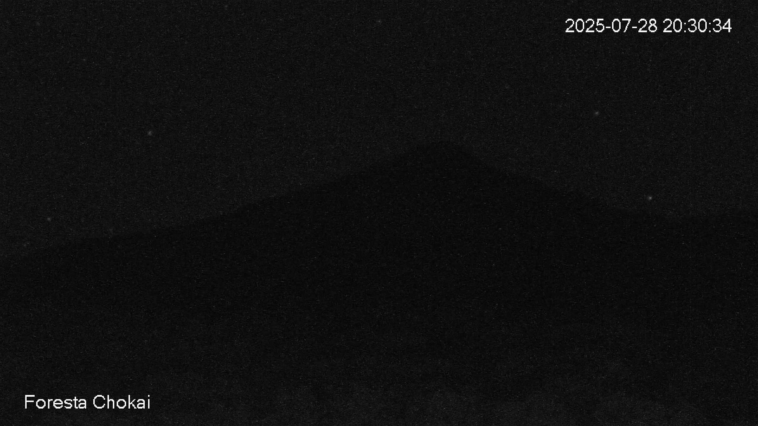 foresta2-20250728203035.jpg