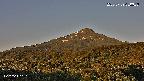 foresta2-20250729050037.jpg