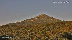 foresta2-20250729051036.jpg