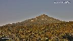 foresta2-20250729052036.jpg