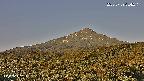foresta2-20250729054243.jpg