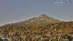 foresta2-20250729055037.jpg