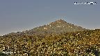 foresta2-20250729060037.jpg