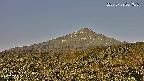 foresta2-20250729061037.jpg