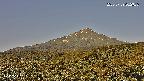 foresta2-20250729062037.jpg