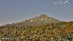 foresta2-20250729063037.jpg