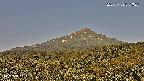 foresta2-20250729071037.jpg