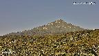 foresta2-20250729072036.jpg