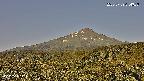 foresta2-20250729074037.jpg
