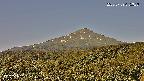 foresta2-20250729075037.jpg