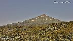 foresta2-20250729080036.jpg
