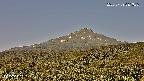 foresta2-20250729081036.jpg