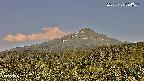 foresta2-20250729084036.jpg