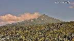 foresta2-20250729085035.jpg