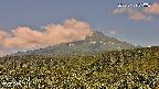 foresta2-20250729090035.jpg