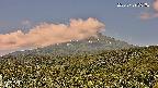 foresta2-20250729091035.jpg