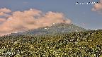 foresta2-20250729092036.jpg