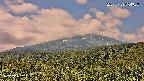 foresta2-20250729094037.jpg