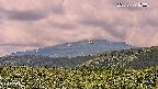 foresta2-20250729103035.jpg