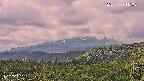 foresta2-20250729111035.jpg