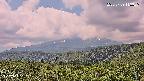 foresta2-20250729113036.jpg