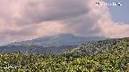 foresta2-20250729121035.jpg
