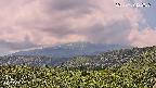 foresta2-20250729122036.jpg