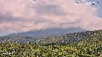 foresta2-20250729123037.jpg