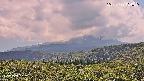 foresta2-20250729134035.jpg