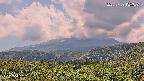 foresta2-20250729135035.jpg