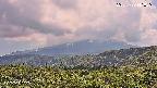 foresta2-20250729141035.jpg
